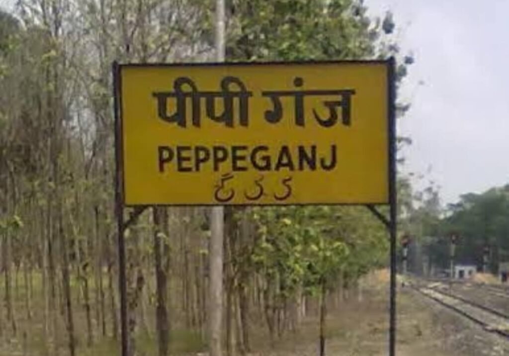 गोरखपुर के पीपीगंज थाने क्षेत्र मे युवती से जबरन संबंध बनाने के प्रयास का आरोपित गिरफ्तार----- रतन गुप्ता उप संपादक