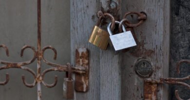 Censor Board Data Breach Exposes Hundreds of Film Applications